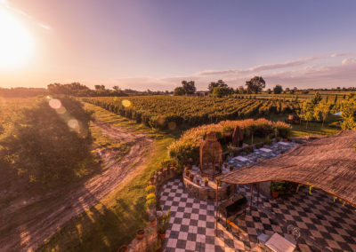 Bodega Narbona