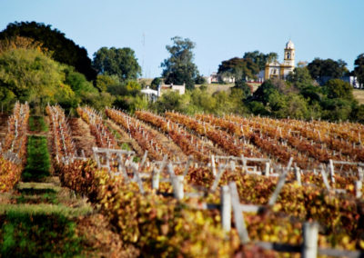 Bodega Familia Irurtia