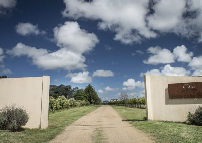 Viñedo de los Vientos